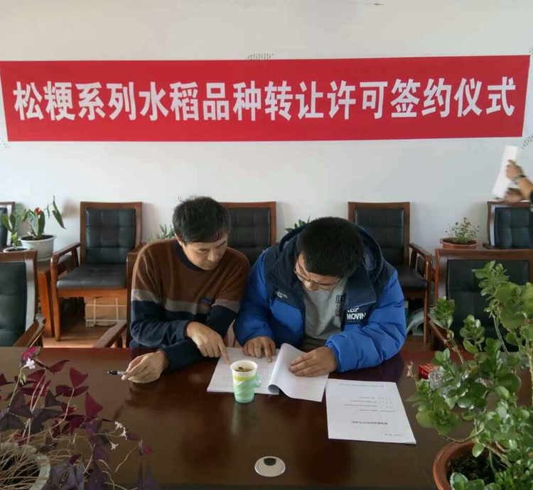 签约仪式