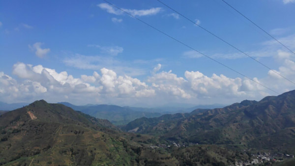 安溪铁观音基地