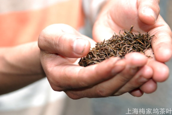 茶叶是什么时候开始流行起来的？