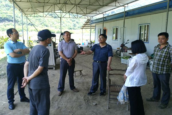 20190612171657_17385.jpg 市人大常委会赴横渡镇开展调研.jpg
