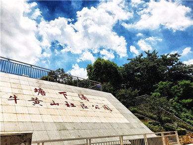 公园绿化