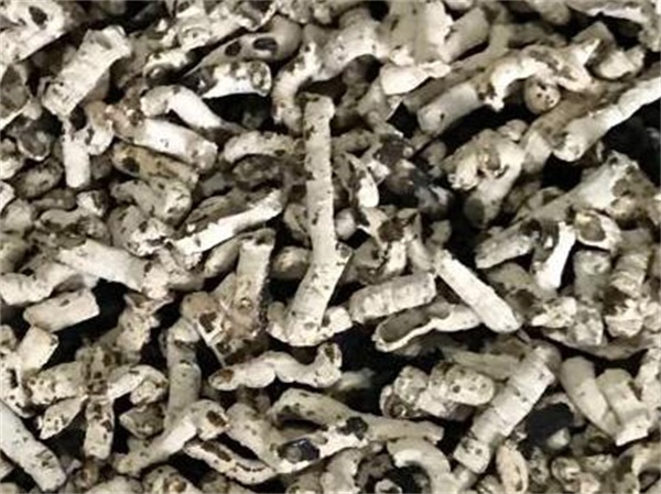 4种污泥干化技术详解及优缺点综述
