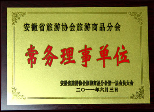 旅游协会常务理事单位