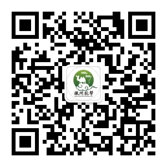 用手机浏览器扫描浏览效果 用手机浏览器扫描浏览效果
