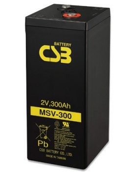 MSV-300.jpg