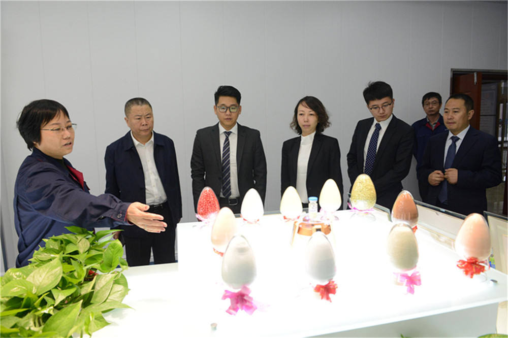 德国山西商会会长一行来河津考察调研