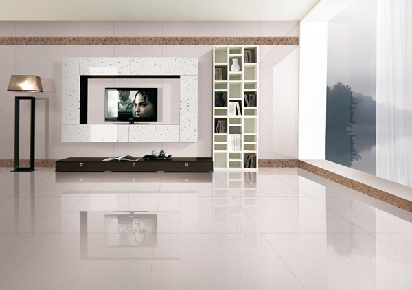 贝壳王&芙蓉白琥珀