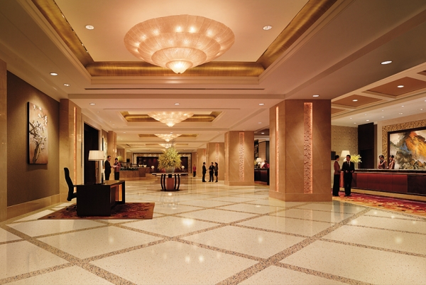 米黄花&金晶米黄