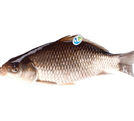 Cloud Zoom small image