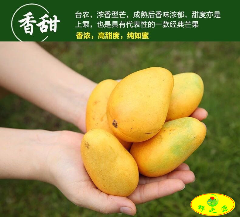 微信图片_20180603001430.jpg