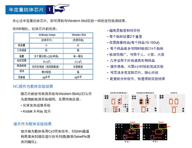A1434014624.PNGpng_small.jpg