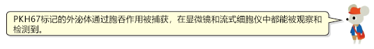 20200611212524_21125.png 1815240233157524.png