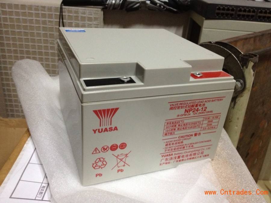 汤浅蓄电池12V24AH 汤浅NP24-12