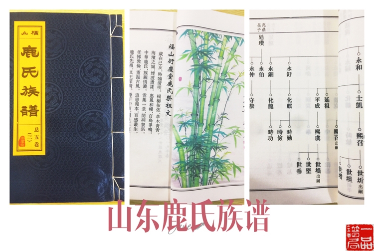 微信图片_山东.jpg