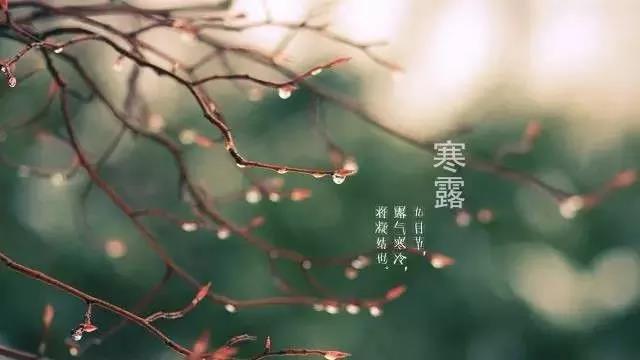 20181009140840_55955.jpg 微信图片_20181009140434.jpg