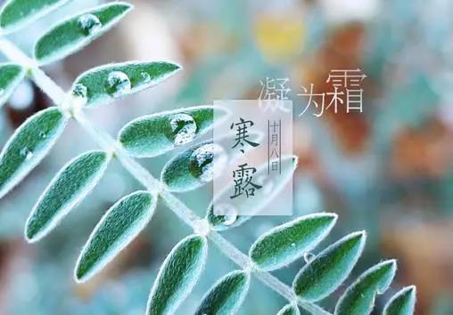 20181009141149_31275.jpg 微信图片_20181009140513.jpg