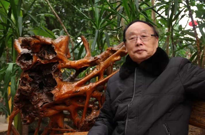 杜春富艺术简历