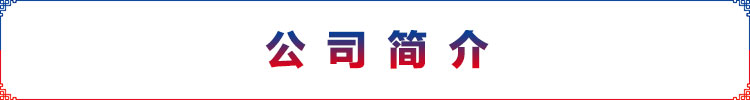 750_100花边框-公司简介.jpg