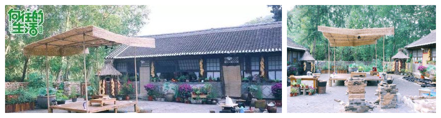20210318171732_92146.jpg 合图1.jpg