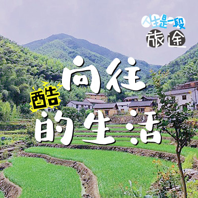 主题团建-向往的生活