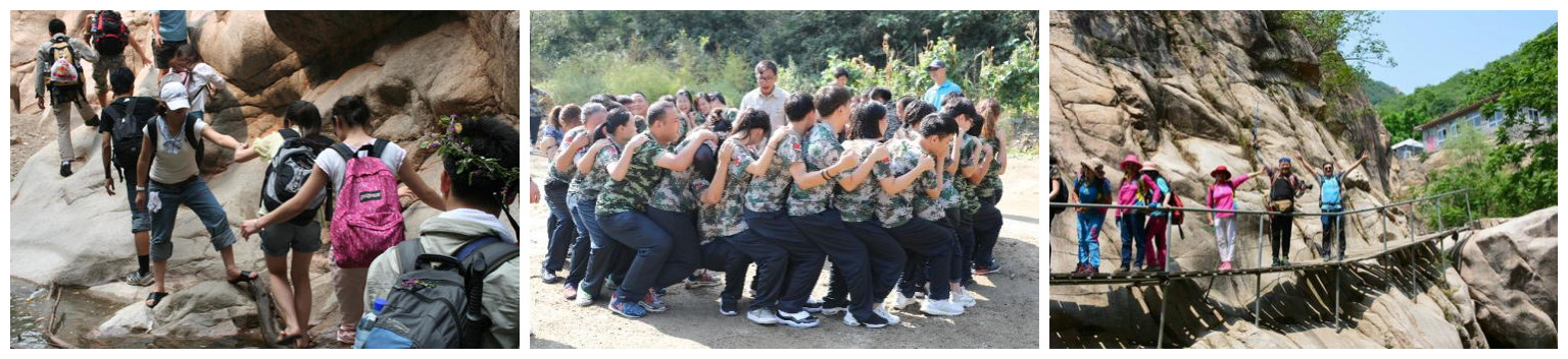 合图3.jpg