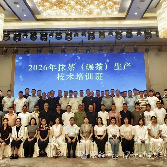 杭州第三期碾茶抹茶技术培训班：共探抹茶产业智能制造新方向