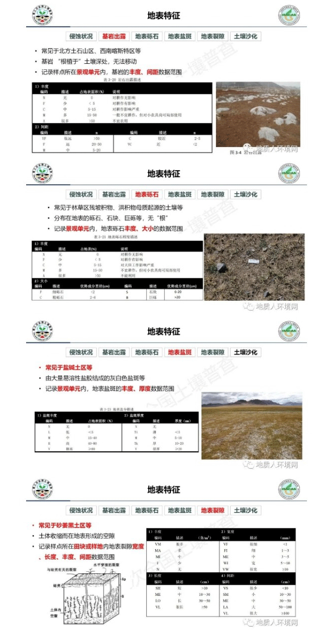 1_07.gif