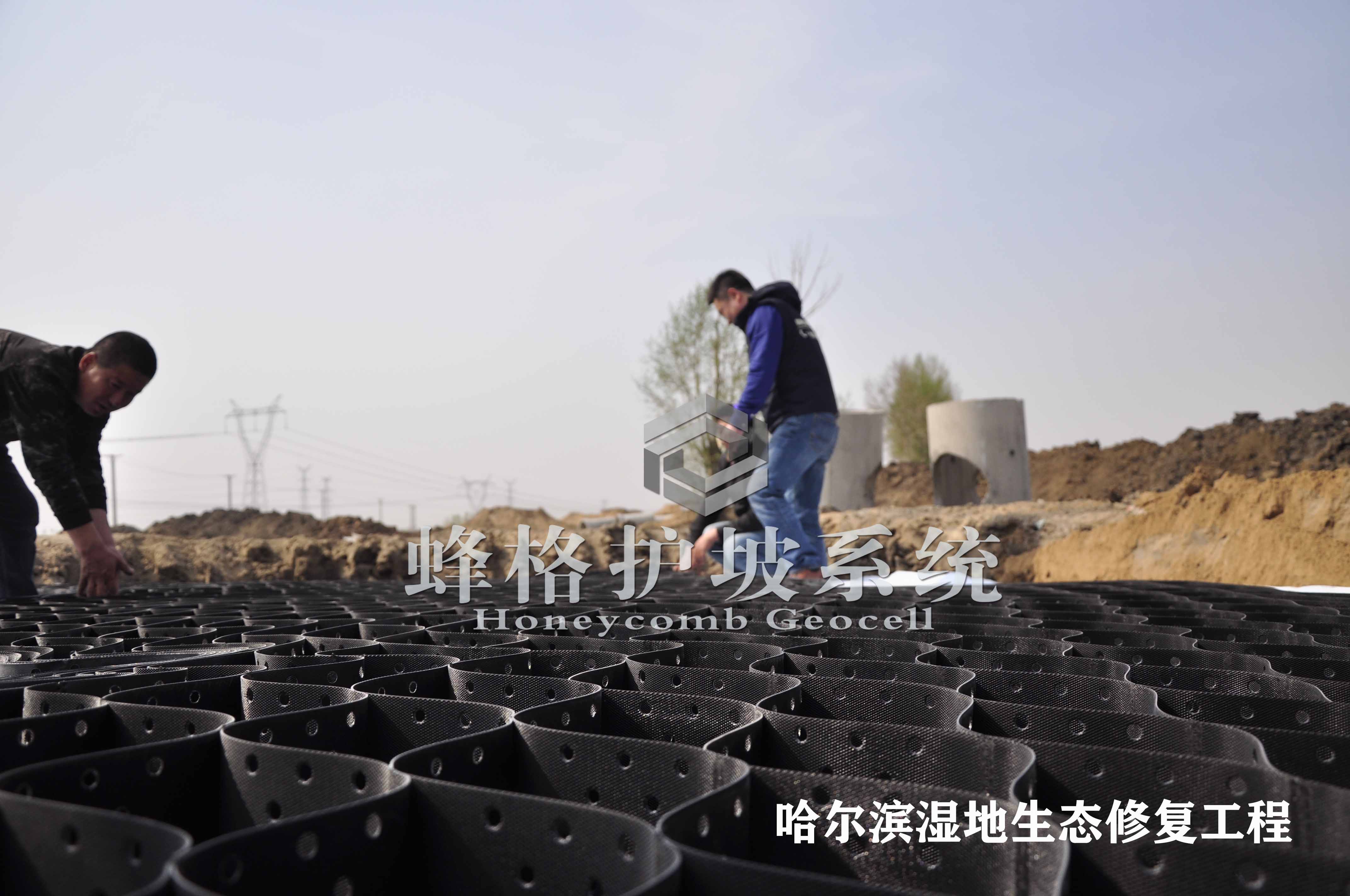 哈尔滨湿地生态修复工程