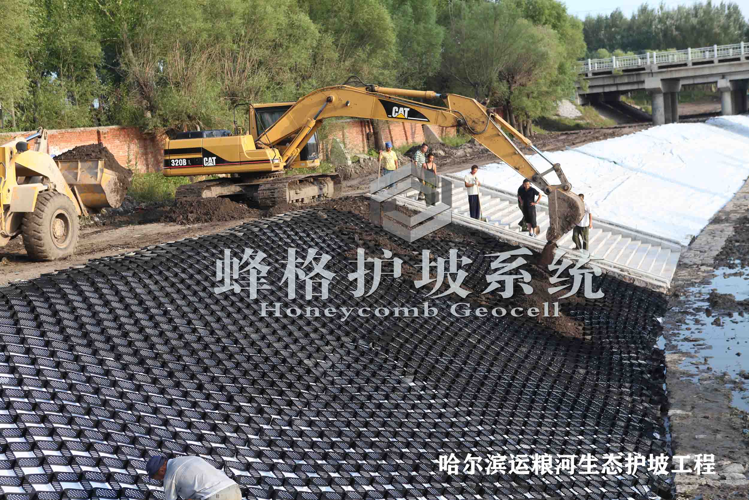 干砌石固脚，坡面铺装蜂格网，填充种植土播撒草种，形成生态绿色边坡
