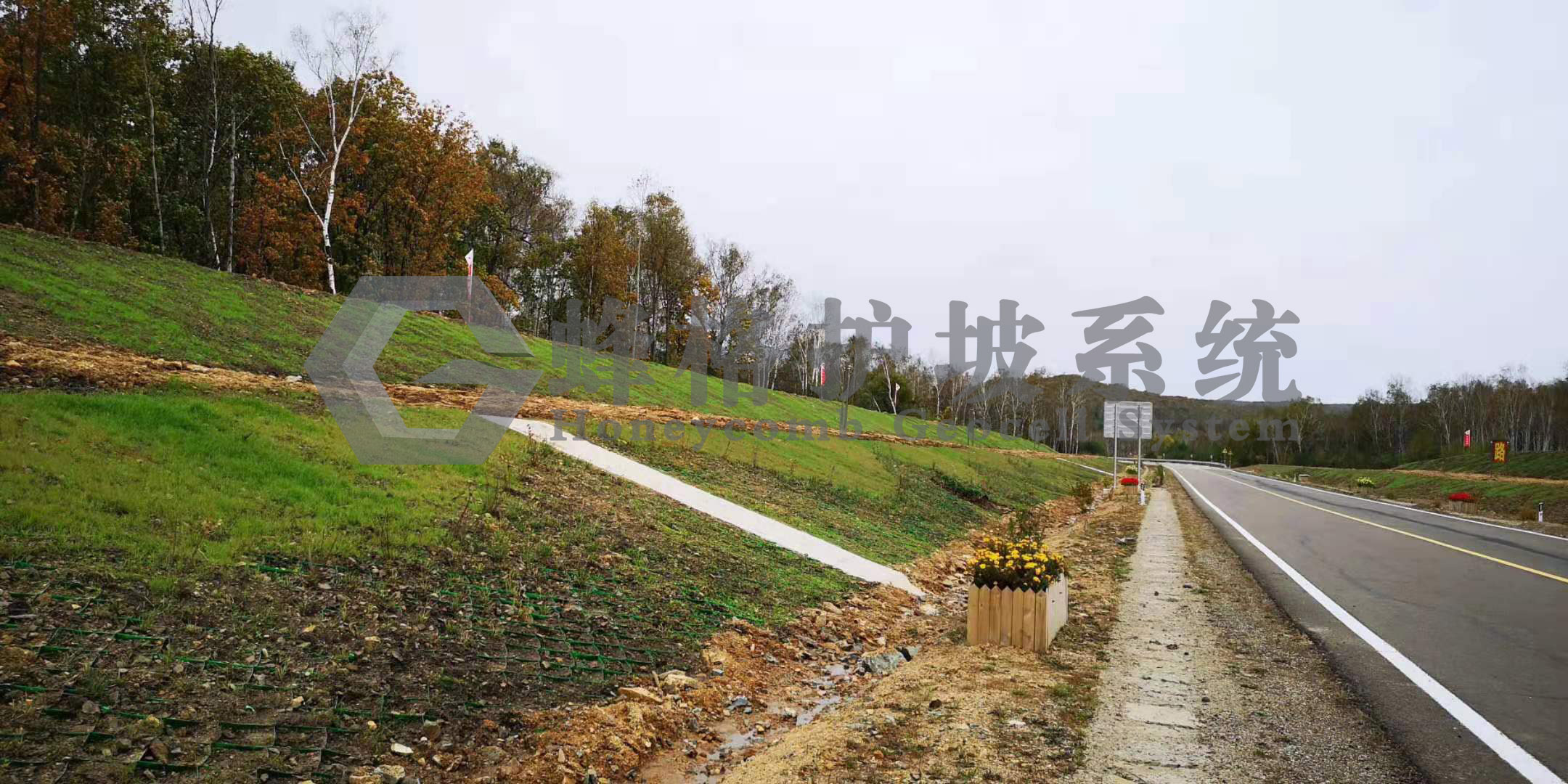 20201104120314_61988.jpg