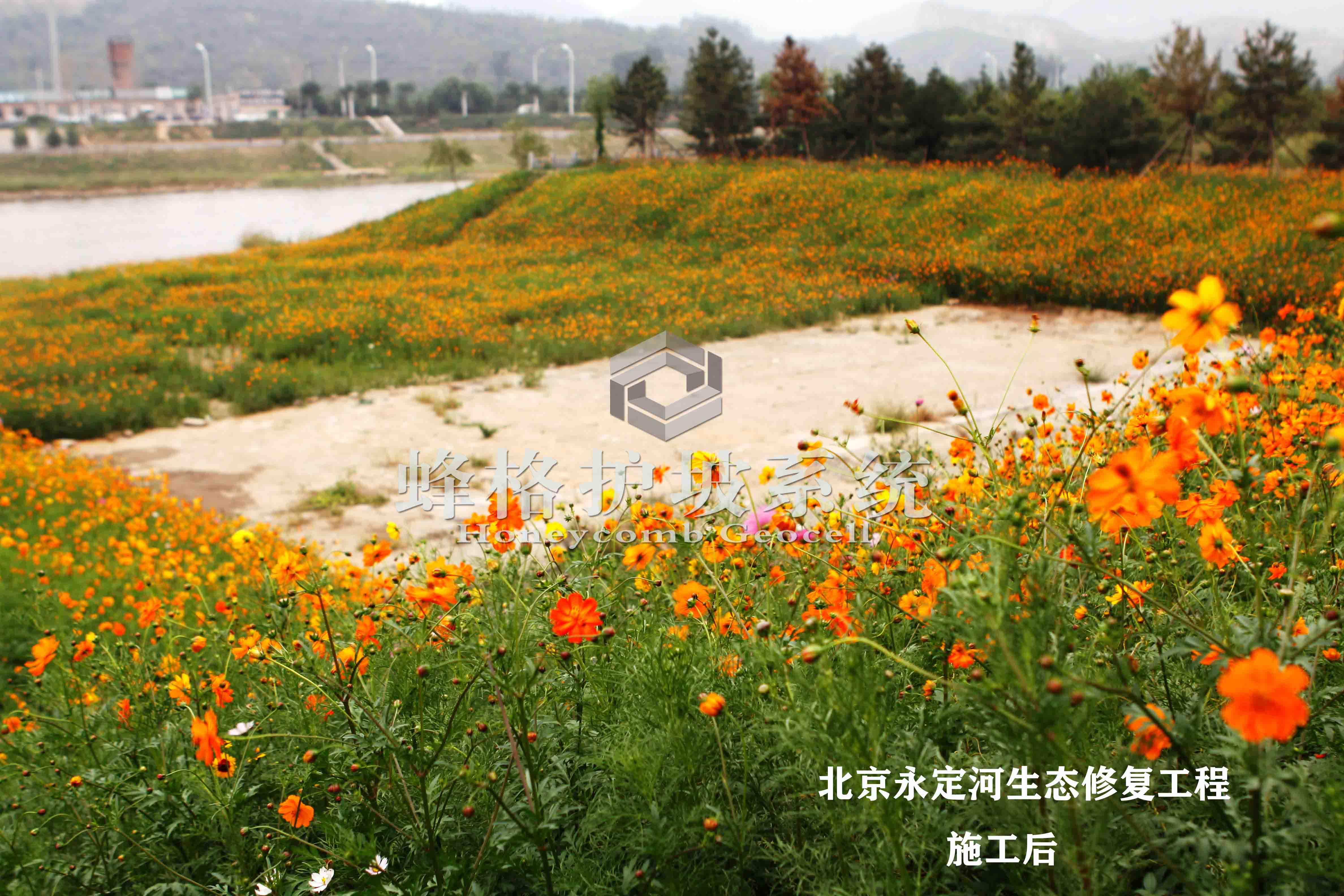 20201231152045_68547.jpg