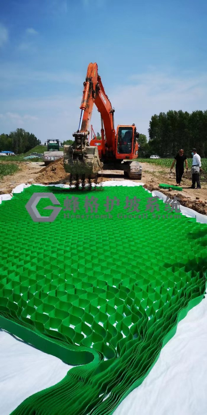 蜂巢约束系统中介质布有什么作用
