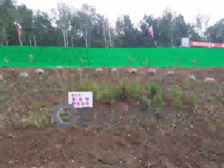 蜂巢约束系统的正确铺装