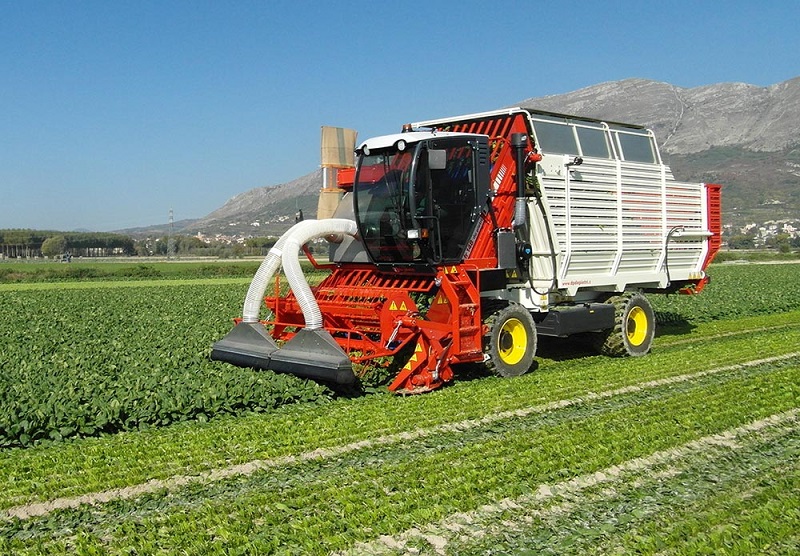 raccoglitrice-industriale-spinaci-FR148-depietri03.jpg
