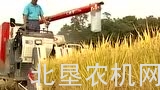 东洋公司介绍