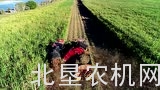 凯斯A8010 A8810甘蔗收获机