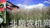 克拉斯CONVIO割台作业视频