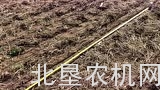Kinze公司如何实地检查播种情况