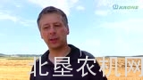 科罗尼大方捆打捆机作业