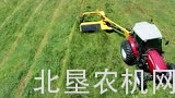 威猛TM610割草机