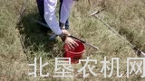 麦赛福格森牧草机械