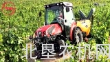 赛迈Frutteto CVT 115S拖拉机介绍