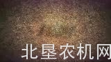 Versatile公司FURY高速耙