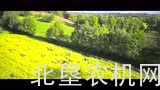航拍拖拉机耕作-画面超美