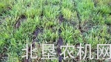 凯斯Puma 165拖拉机配泥浆罐车灌溉草坪