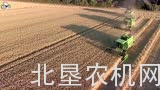 3台道依茨法尔收割机作业