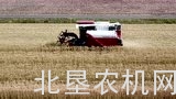 洋马YH1150收割机作业