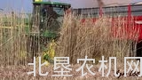迪尔青贮机收获饲料