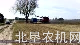 纳迪葵花割台介绍