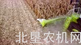 克拉斯CORIO青贮割台介绍